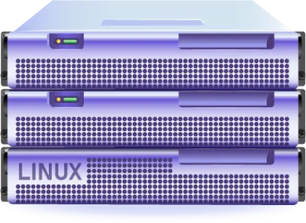 هاست لینوکس چیست؟