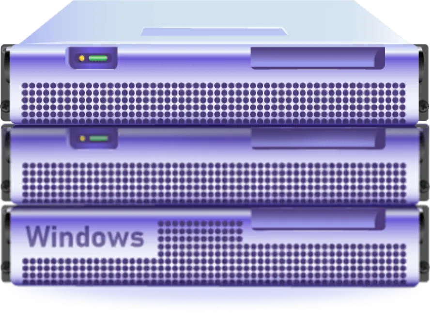 هاست ویندوز چیست؟