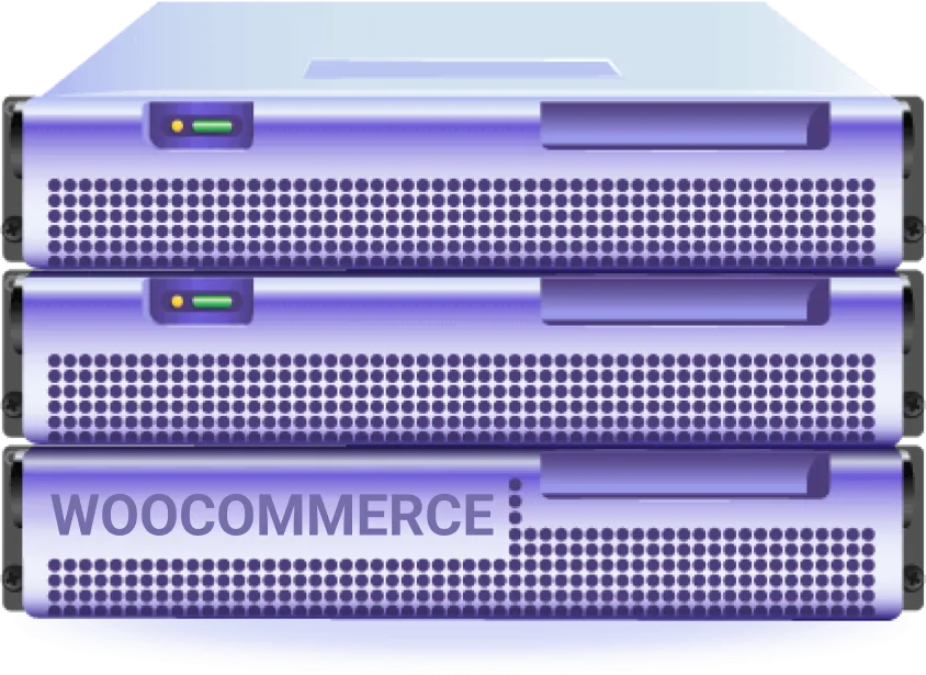 هاست ووکامرس چیست؟