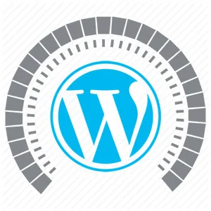 تأثیر پلاگین های وردپرس بر زمان لودشدن سایت