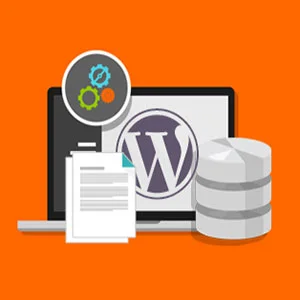 آموزش نحوه رفع خطای 429 یا ارور Too Many Requests در وردپرس