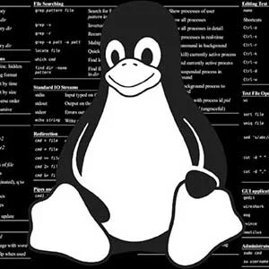 نکاتی برای افزایش سرعت سرورهای لینوکسی