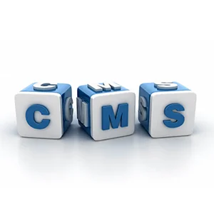 تفاوت بین CMS (سی ام اس) و Hosting (هاستینگ) چیست؟