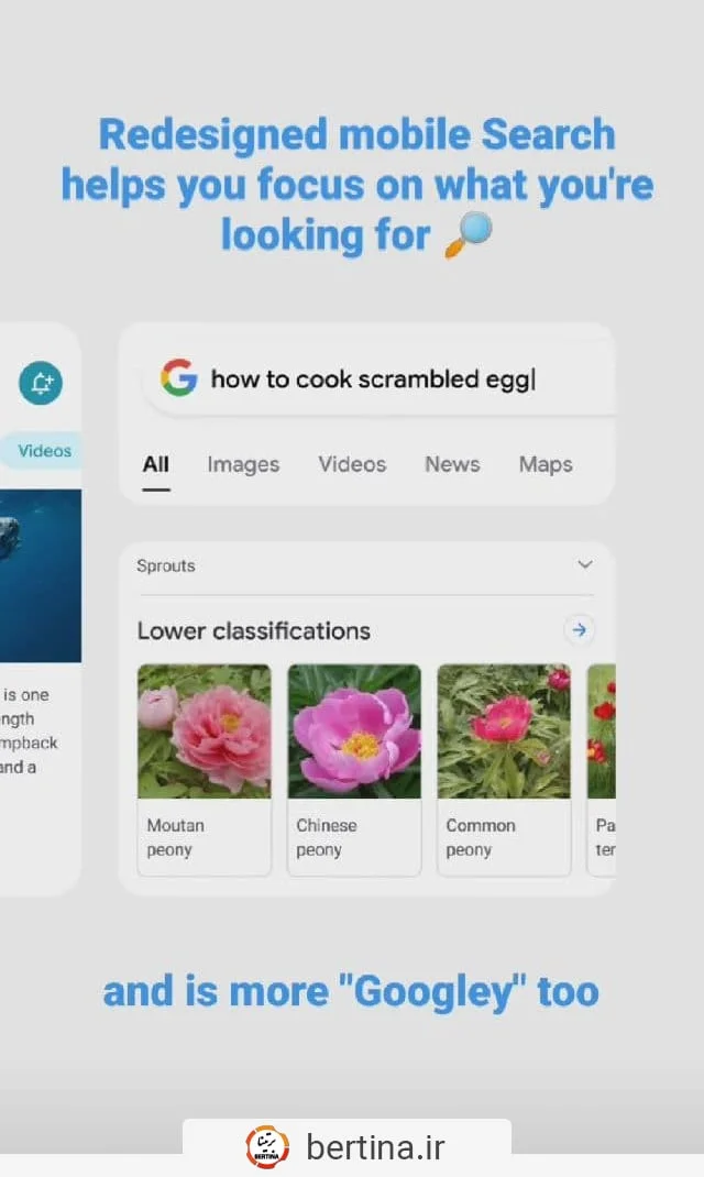 رفع خطای 403 Forbidden در وردپرس