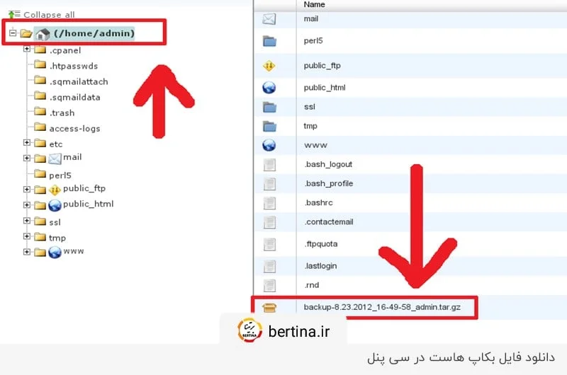 دانلود فایل بکاپ از سی‌پنل
