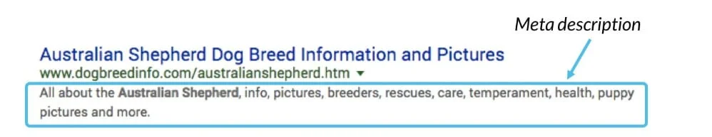 متای توضیحات