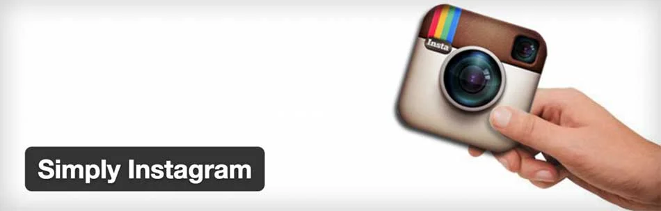 پلاگین Simply Instagram