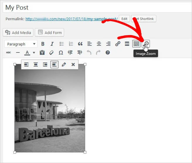 افزودن زوم ذره بینی به تصاویر نوشته ها و برگه های وردپرس