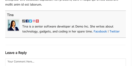 پلاگین author bio
