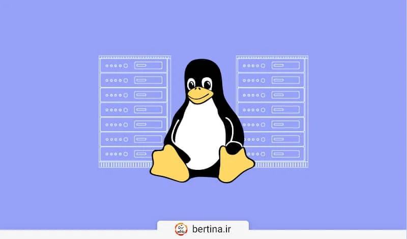 هاست لینوکس ارزان - راهنمای جامع انتخاب میزبانی وب مقرون به صرفه