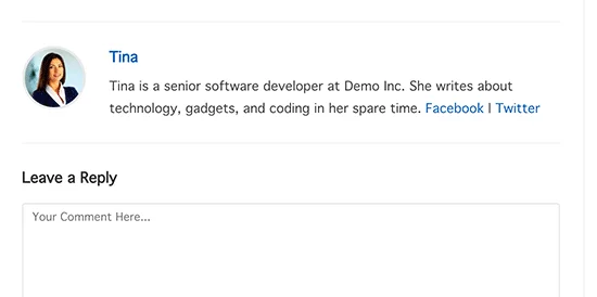 پیش نمایش باکس پیش فرض وردپرس برای اطلاعات نویسنده