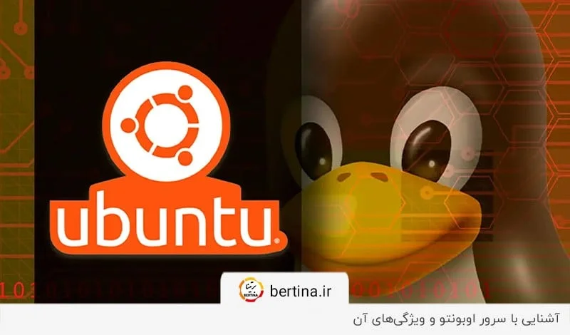 شرح سرور اوبونتو و ویژگی‌های آن در برتینا