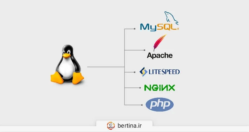 هاست لینوکس چیست و چه مزایایی دارد؟