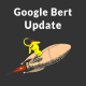 آپدیت google bert