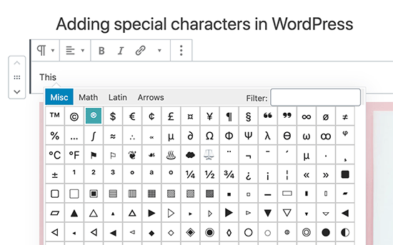Add special characters in Gutenberg WordPress block editor