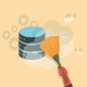 پاک کردن دیتابیس وردپرس