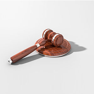 Competitor bidding