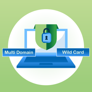 Wildcard & Multi Domain