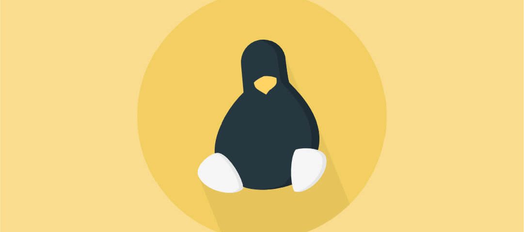 هاست لینوکس چیست؟ (بررسی کامل هاست لینوکس)