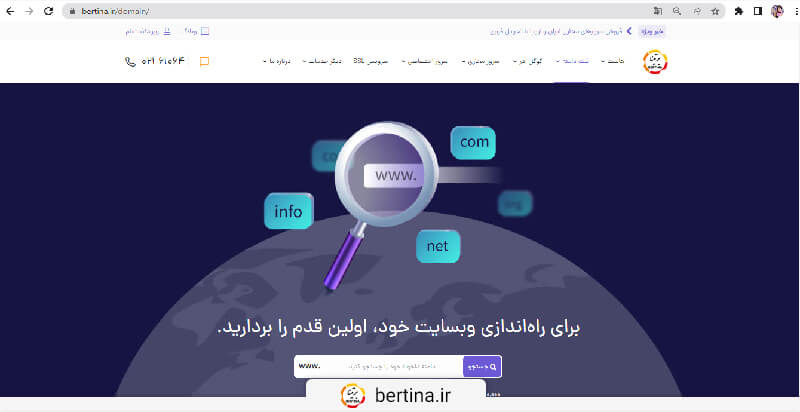 استعلام مالکیت دامنه از طریق وب سایت برتینا