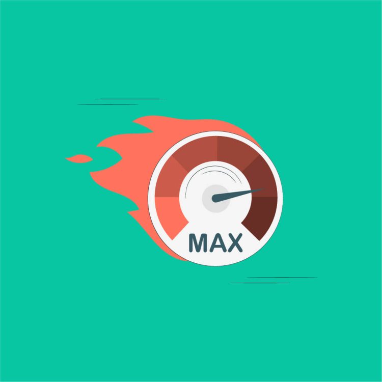 هاست فرانسه چیست؟